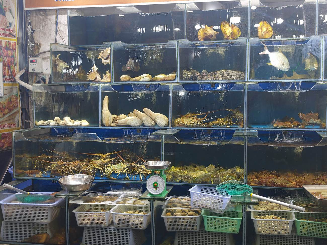 Морепродукты, которые жарят при вас